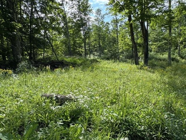 0 West Beeman Road, Unit WELLS CREEK RANCH Empire, MI 49630 - Photo 15 of 17