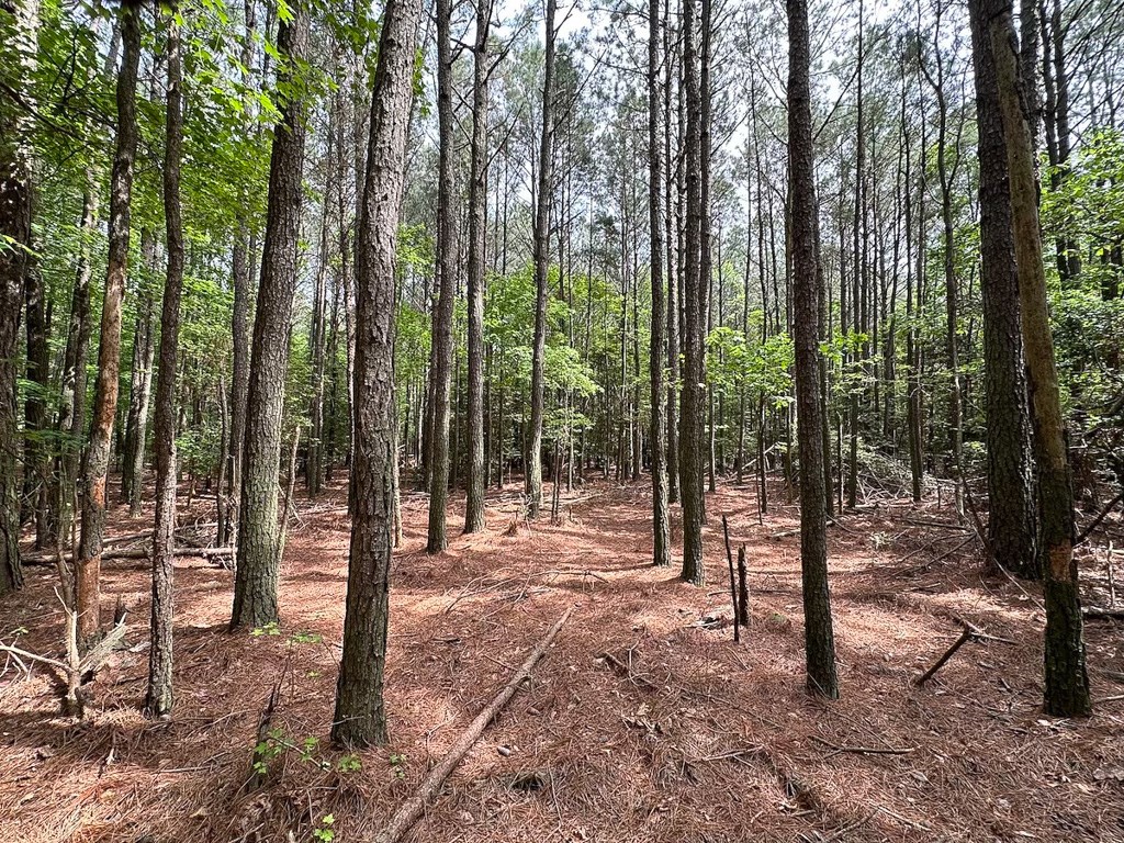 1.75-ac 1.75-ac Kegotank Road, Unit 2 Bloxom, VA 23308 - Photo 12 of 18