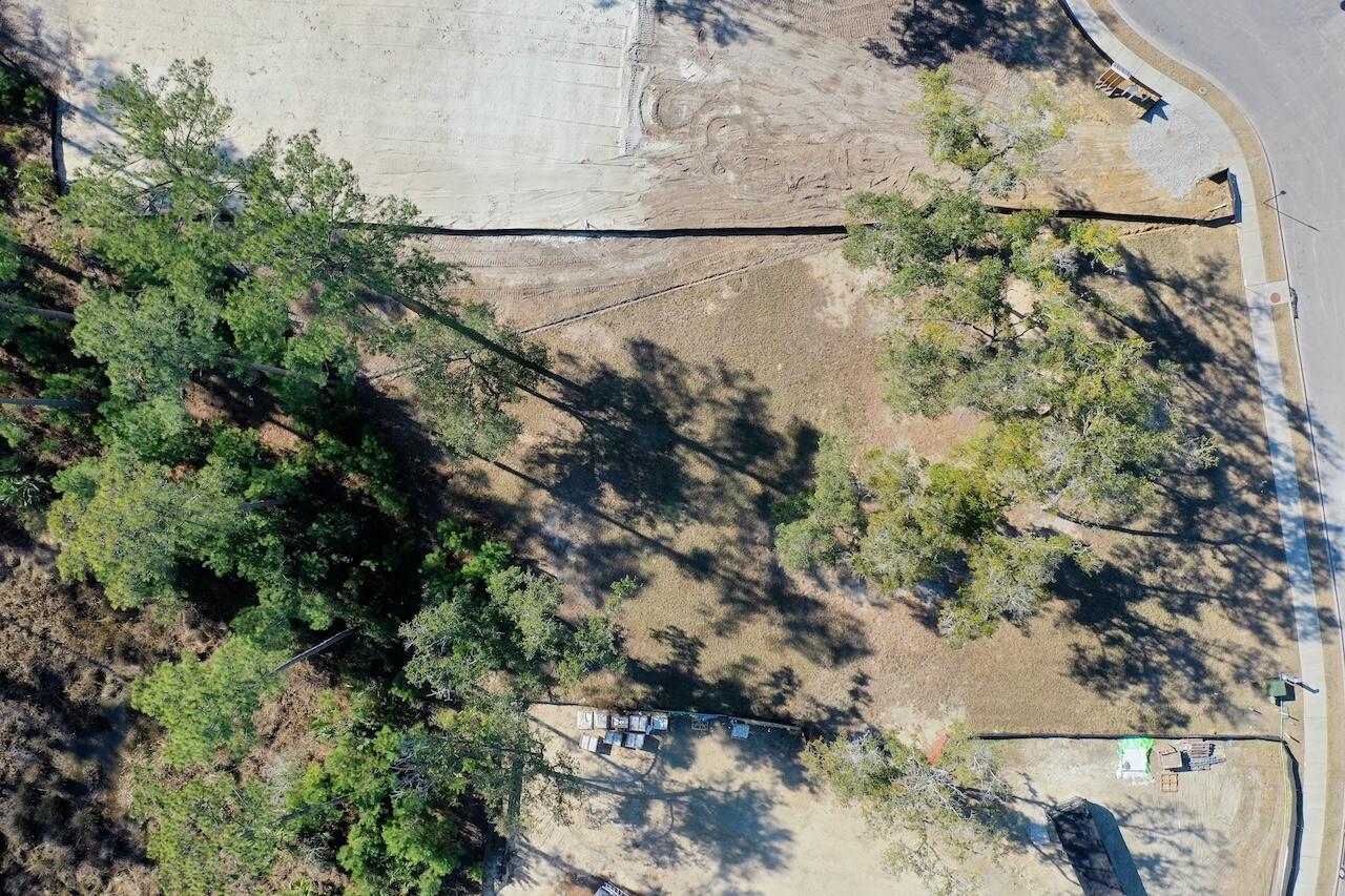 934 Fish Camp Road Charleston, SC 29492 - Photo 3 of 11 DJI_0090