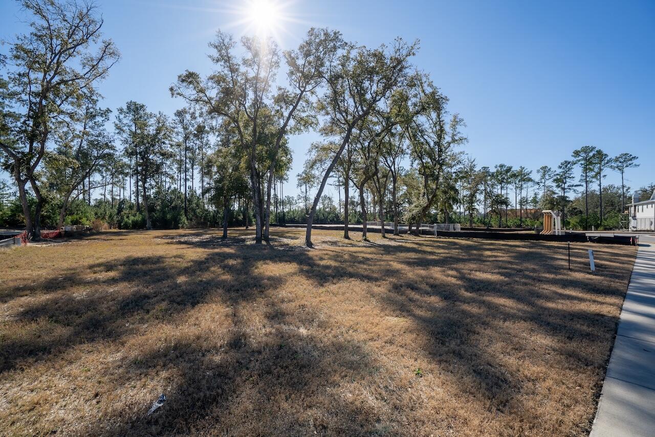 934 Fish Camp Road Charleston, SC 29492 - Photo 5 of 11 SDH07891-HDR