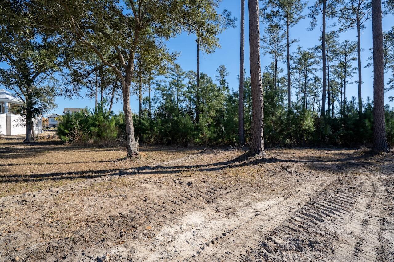 934 Fish Camp Road Charleston, SC 29492 - Photo 6 of 11 SDH07909-HDR