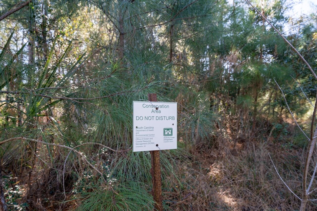 934 Fish Camp Road Charleston, SC 29492 - Photo 7 of 11 SDH07900-HDR