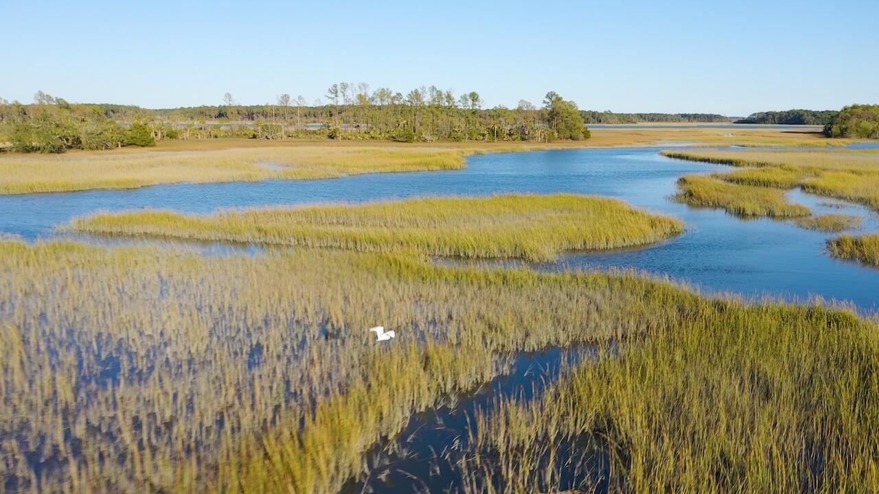 934 Fish Camp Road Charleston, SC 29492 - Photo 10 of 11 38