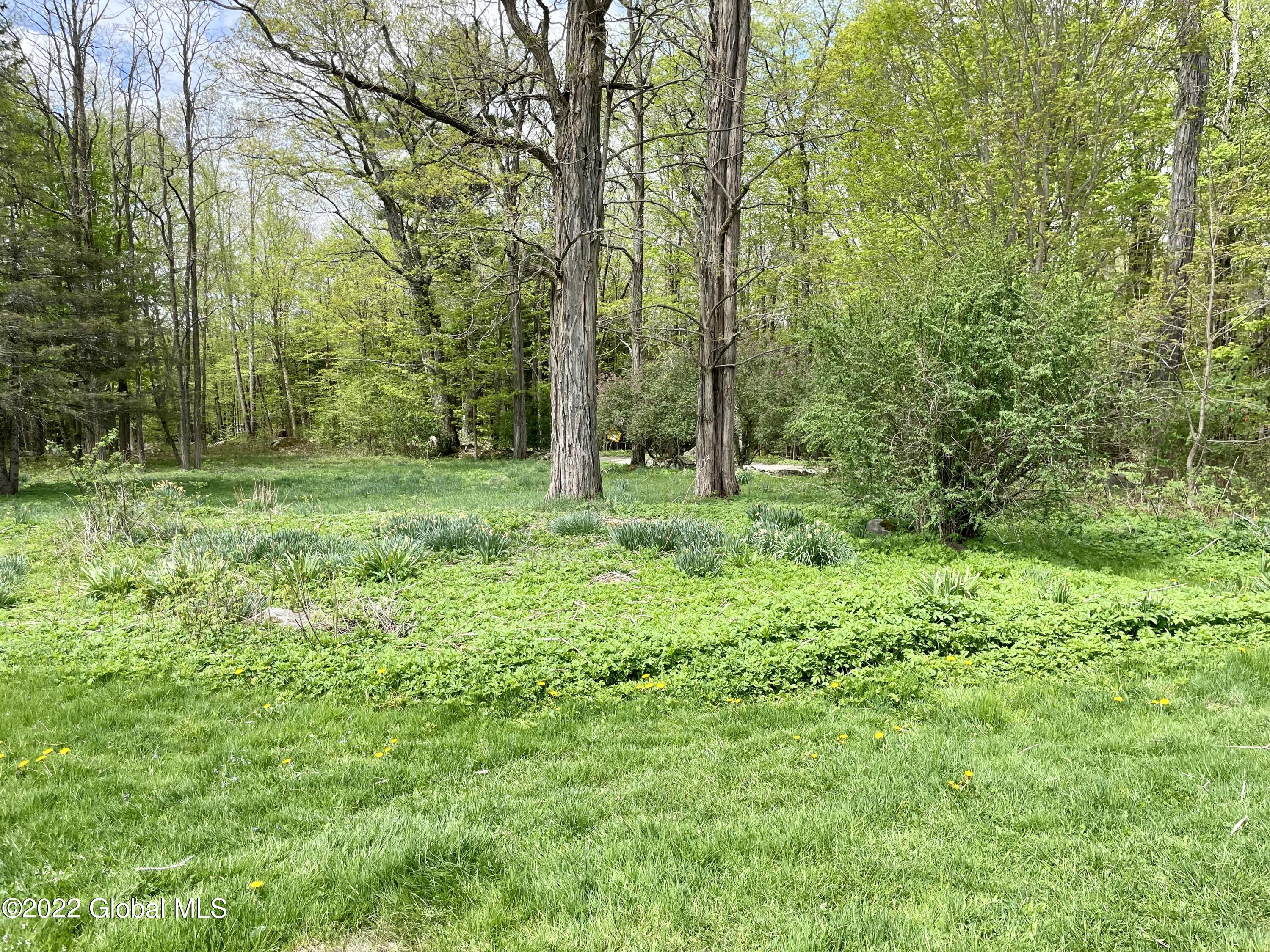 104 Olneys Road Petersburgh, NY 12138 - Photo 28 of 58 ED089A63-272E-4983-B762-E25E9AACB5FD