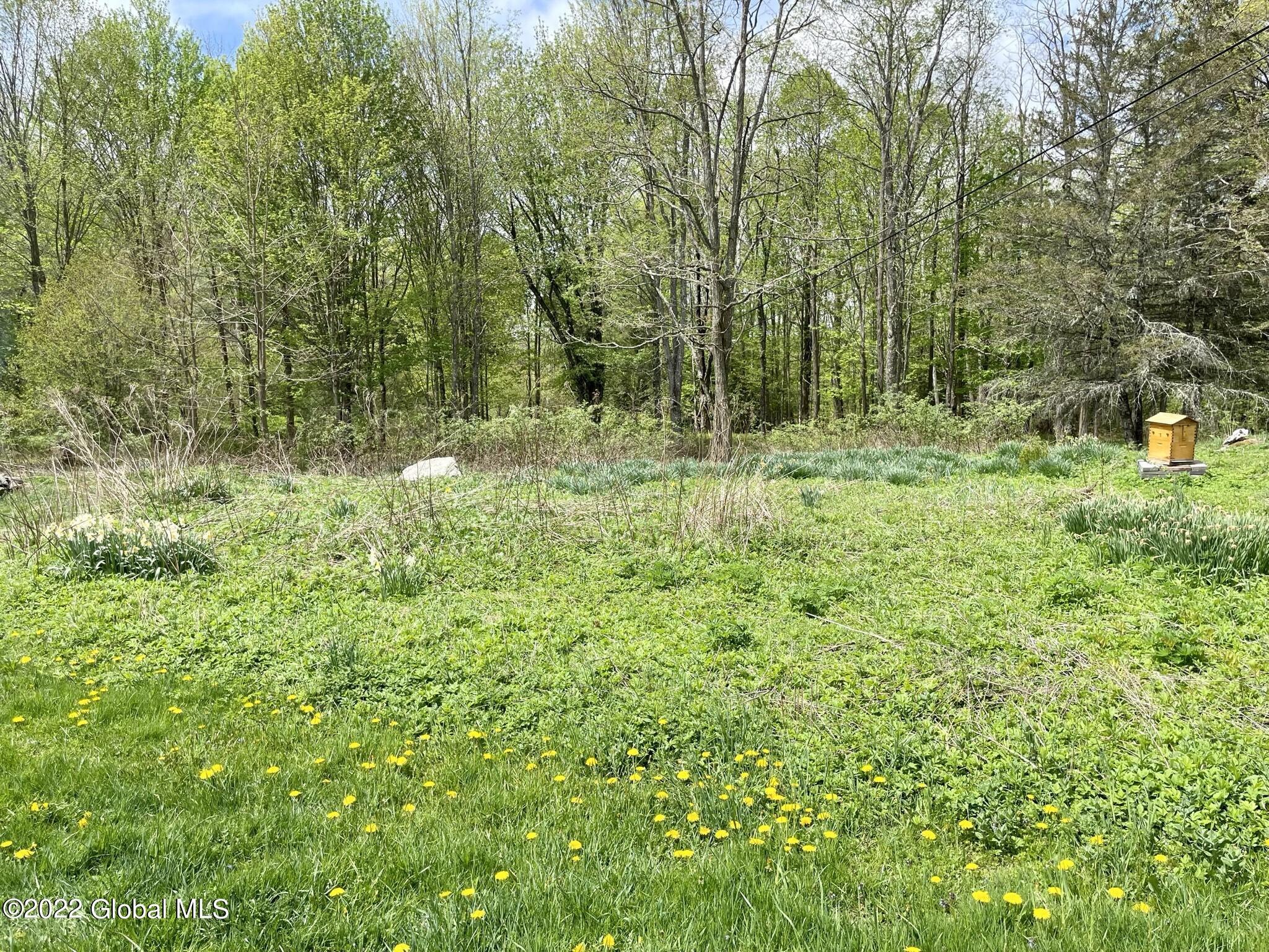 104 Olneys Road Petersburgh, NY 12138 - Photo 33 of 58 7DAD27DA-219F-46D6-A8F5-254344554747