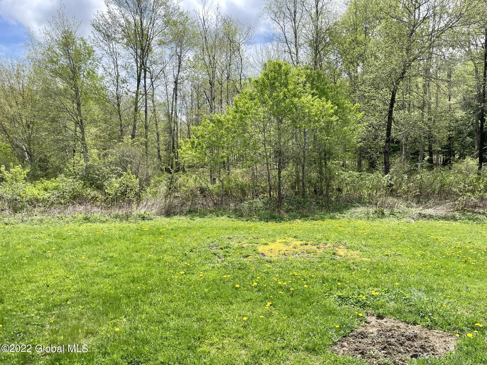 104 Olneys Road Petersburgh, NY 12138 - Photo 35 of 58 71CE36C0-8266-4F0F-955D-174FF13B1E11
