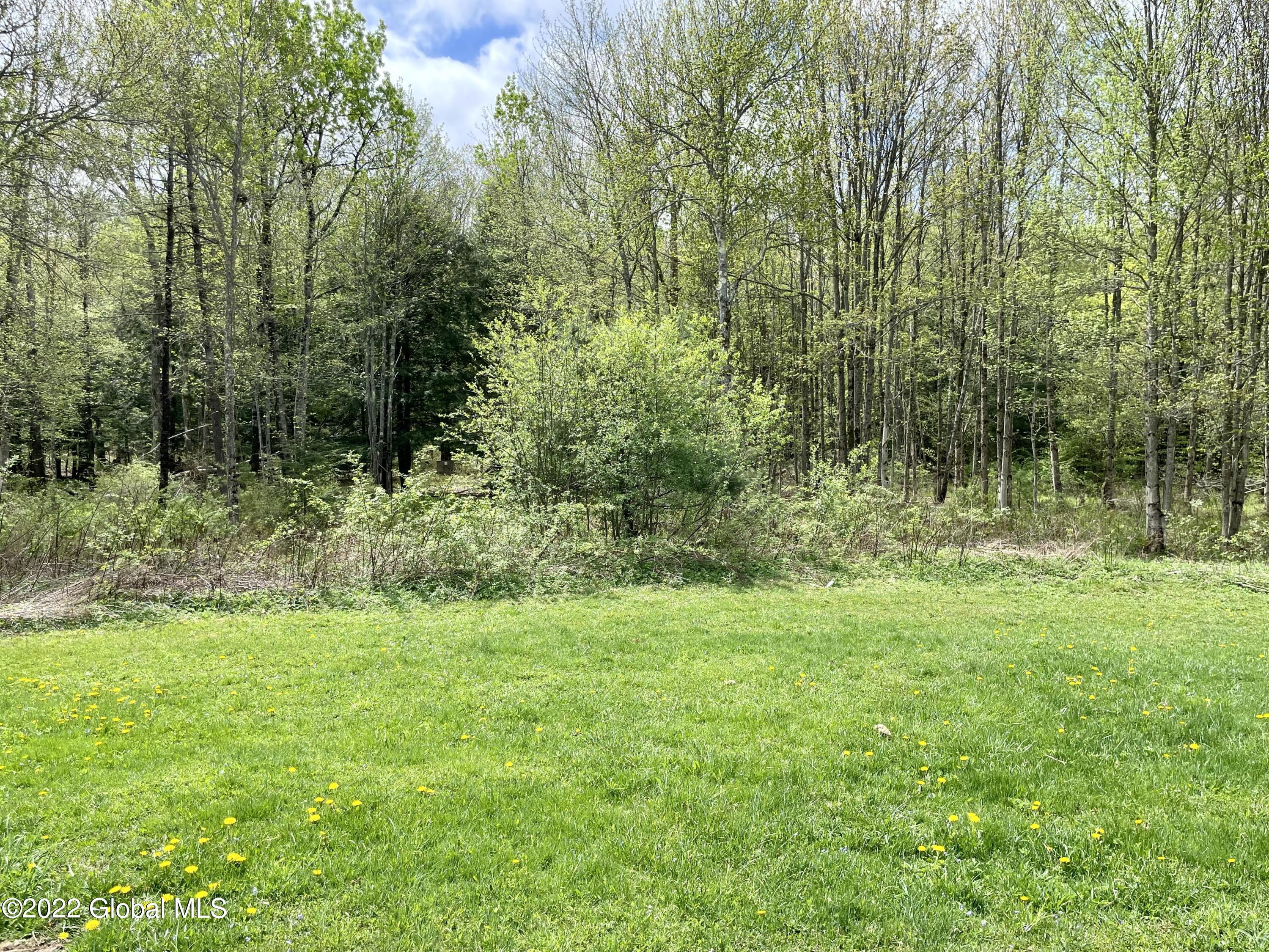 104 Olneys Road Petersburgh, NY 12138 - Photo 36 of 58 464B8175-1E68-46A8-A206-05A710CB7247