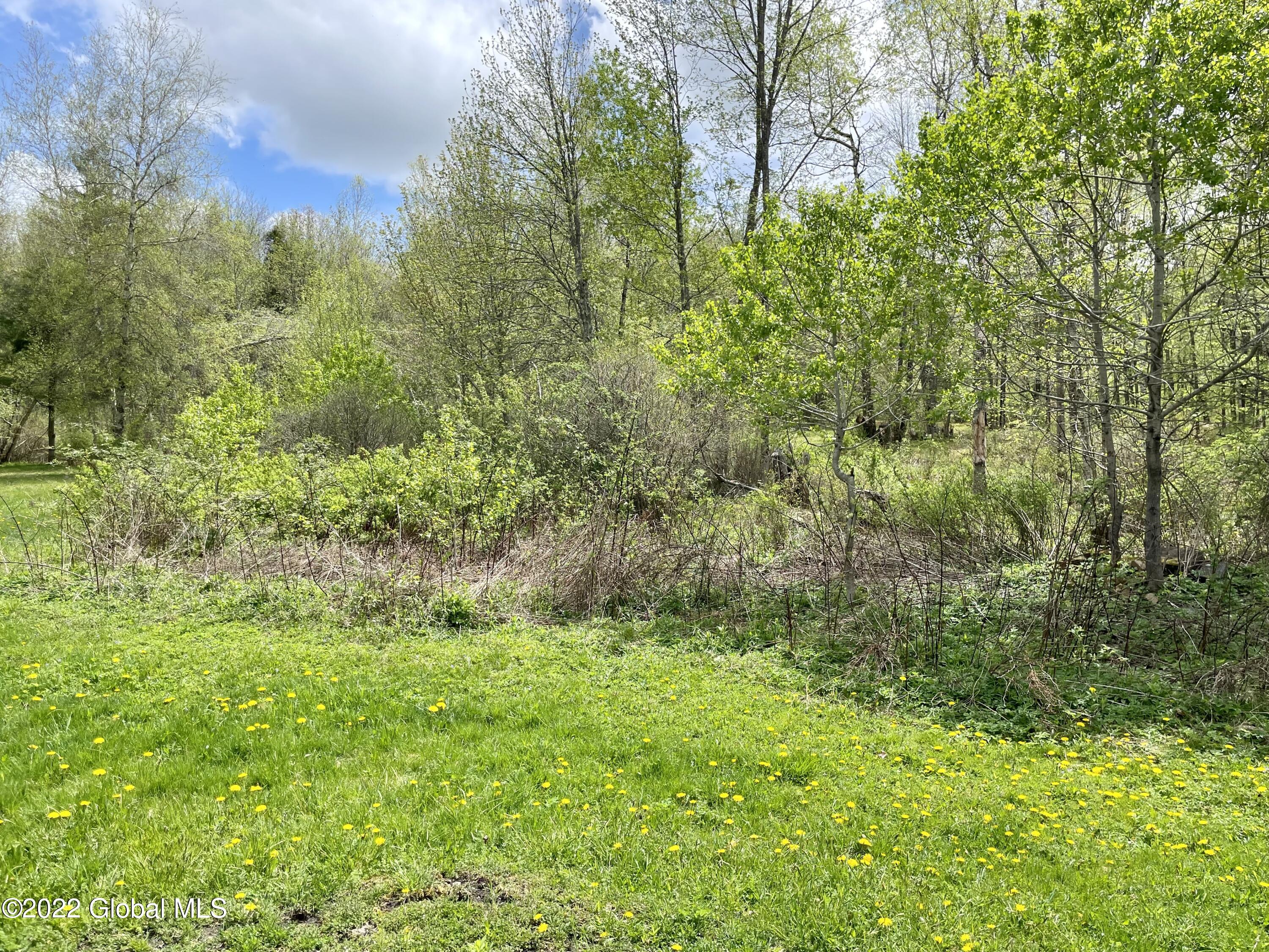 104 Olneys Road Petersburgh, NY 12138 - Photo 38 of 58 727715C7-FBF7-4BF1-9B19-E0B5C6FA9A32