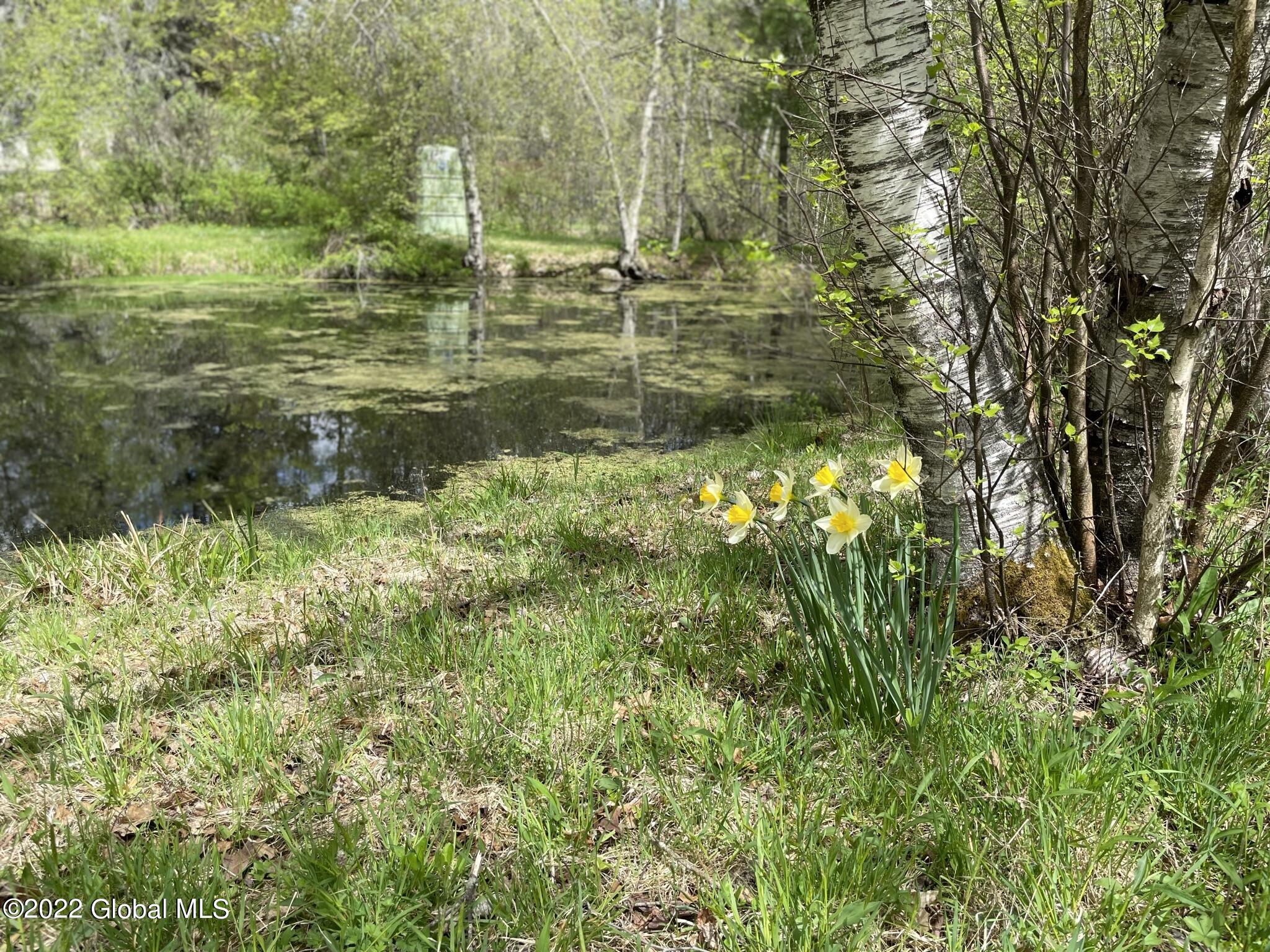 104 Olneys Road Petersburgh, NY 12138 - Photo 41 of 58 3F0B104C-3451-4C4F-BB8A-3F6CB5231D1E