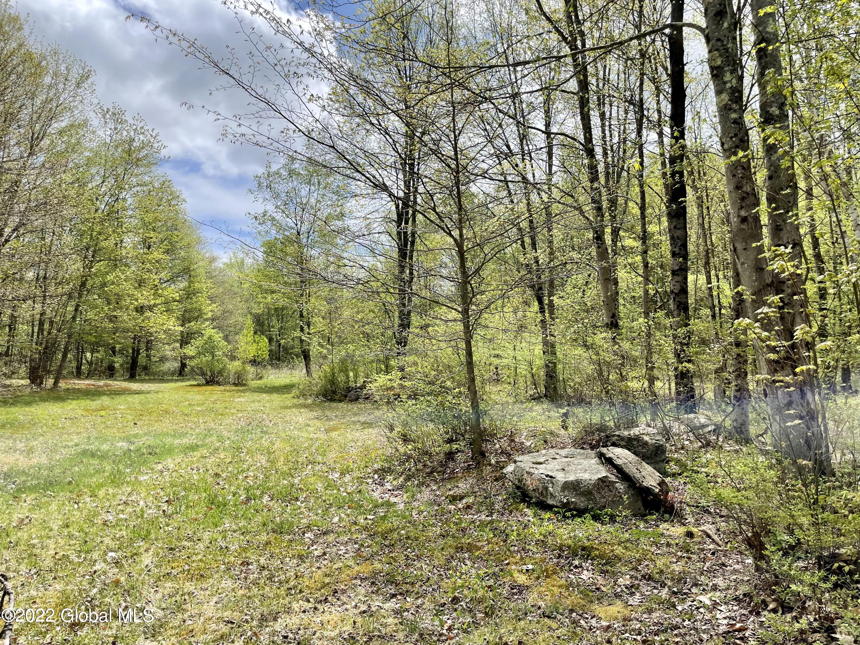 104 Olneys Road Petersburgh, NY 12138 - Photo 42 of 58 C49A4833-0F7D-404A-82F7-9A6204229909