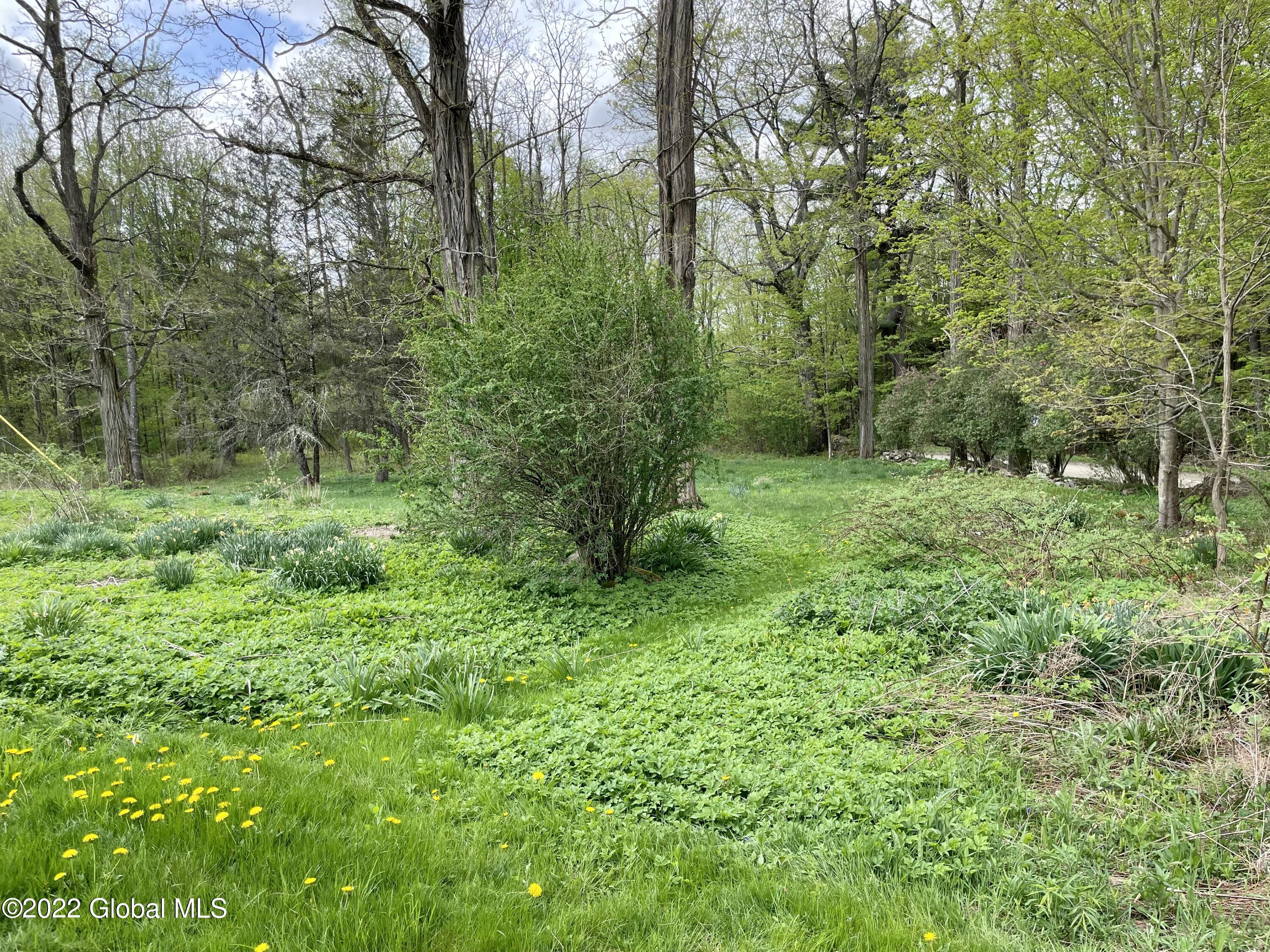 104 Olneys Road Petersburgh, NY 12138 - Photo 46 of 58 DF52CDC2-747E-4927-BF4F-250E2481BF51