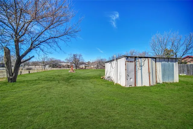 a view of a garden with an tree
