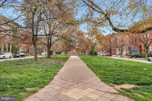 a view of park with trees