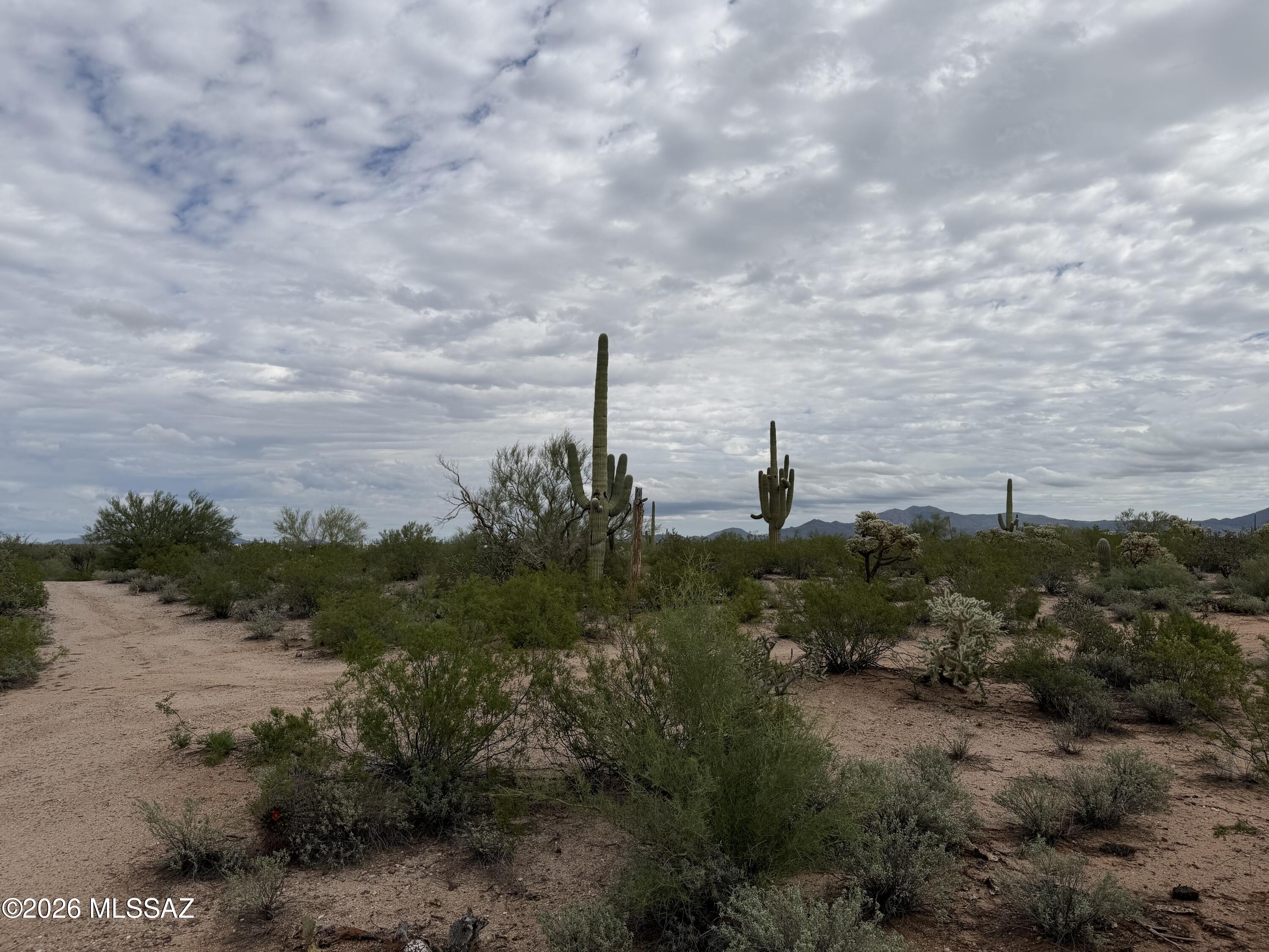 20452 North Oracle Road Catalina, AZ 85739 - Photo 1 of 13 IMG_0755