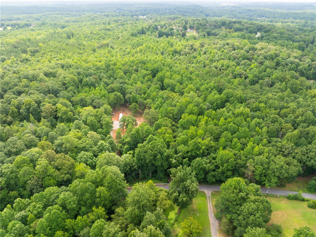 130 Chandler Road Easley, SC 29640 - Photo 12 of 24 A tranquil, tree-filled landscape offers a private setting, complete with a natural waterway winding through the expansive property.