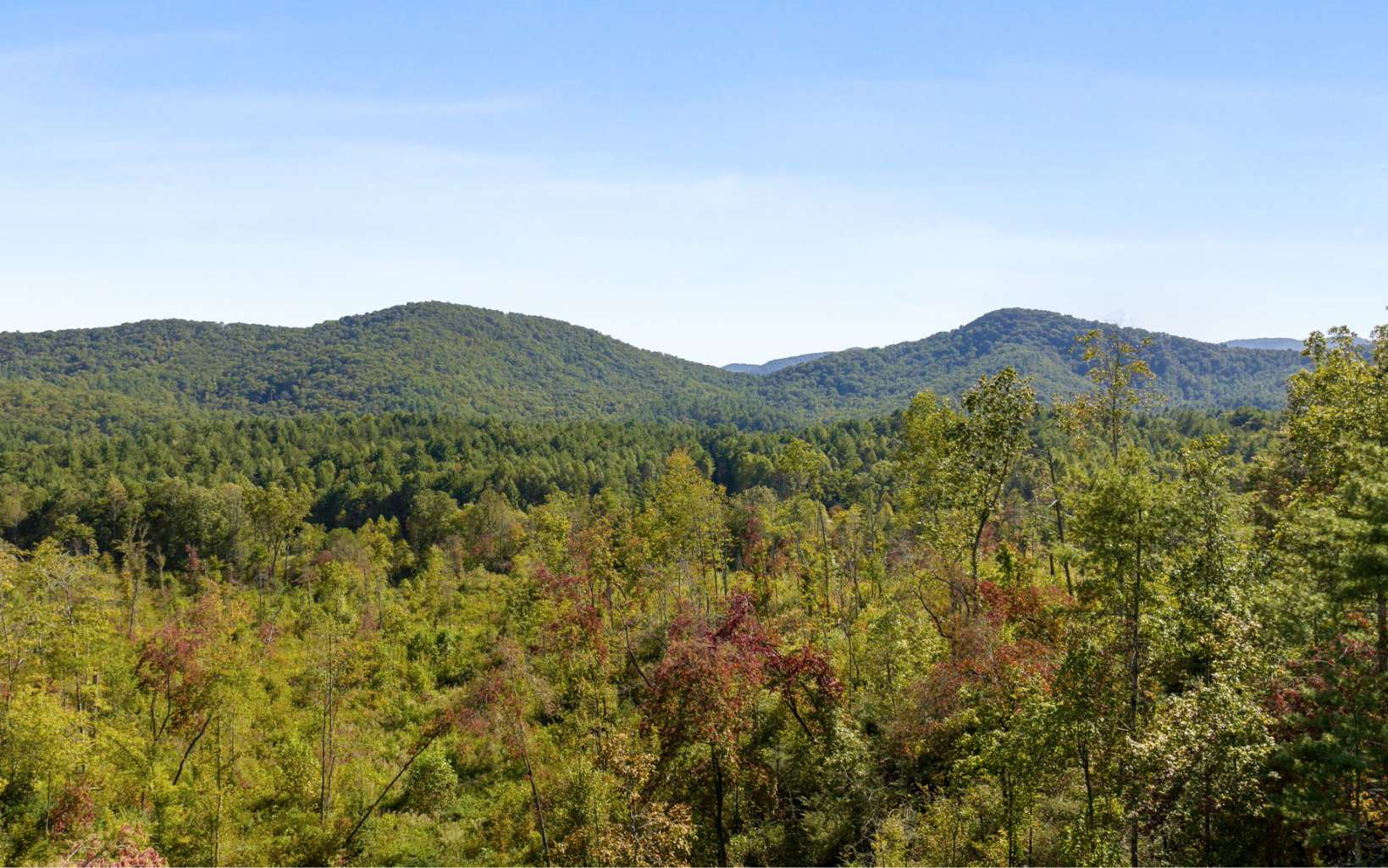 405 Higdon Creek Road Blue Ridge, GA 30513 - Photo 43 of 44 Additional View