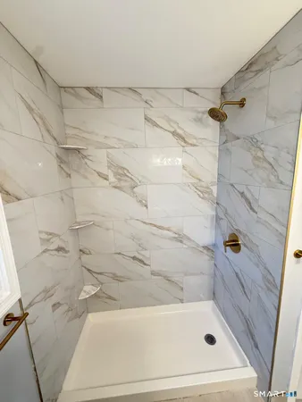 a bathroom with a shower and a bath tub