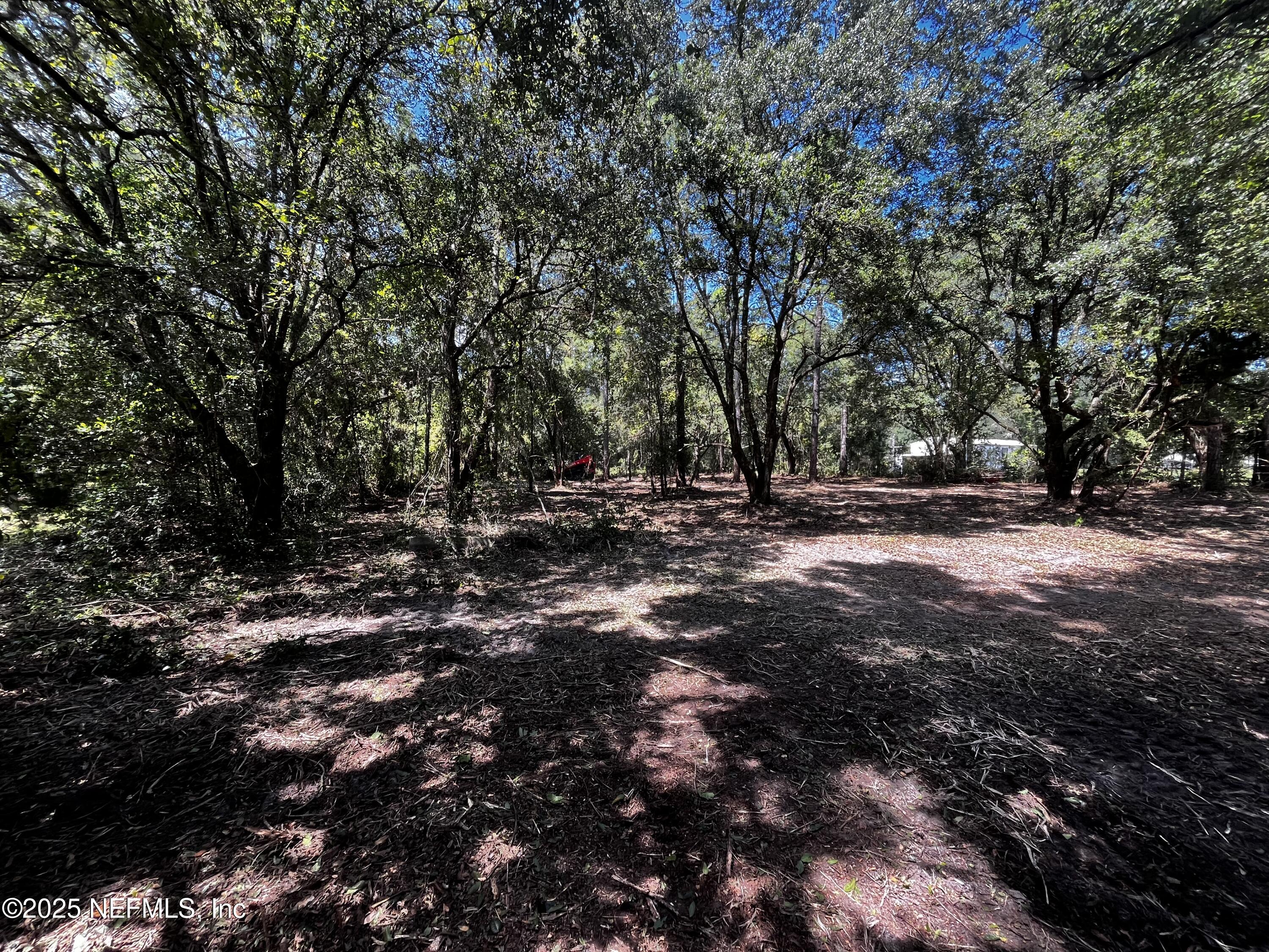 0 Chester Road Yulee, FL 32097 - Photo 11 of 12 a view of outdoor space with green space
