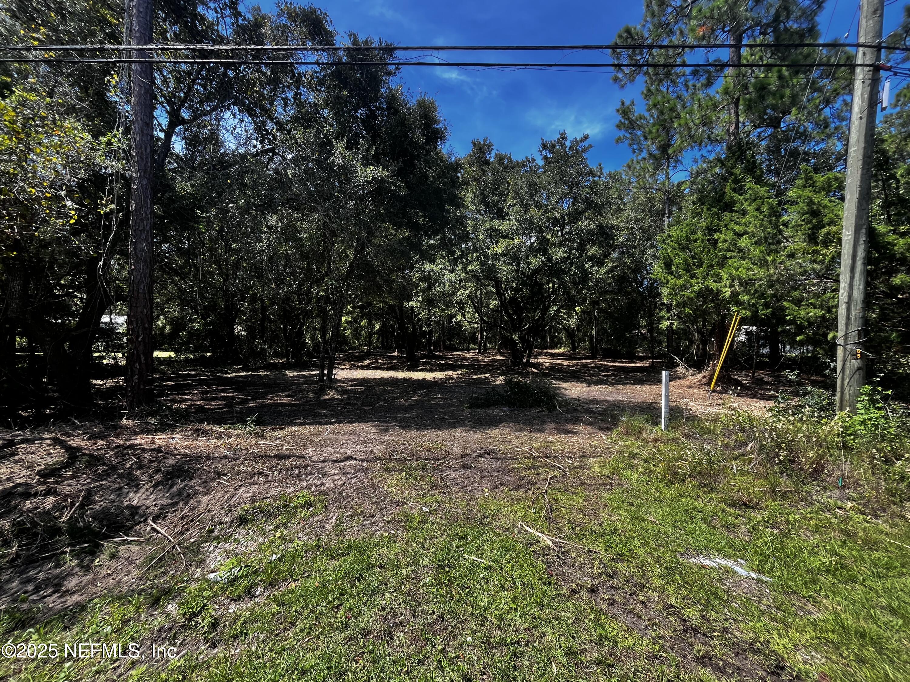 0 Chester Road Yulee, FL 32097 - Photo 12 of 12 a view of street with trees