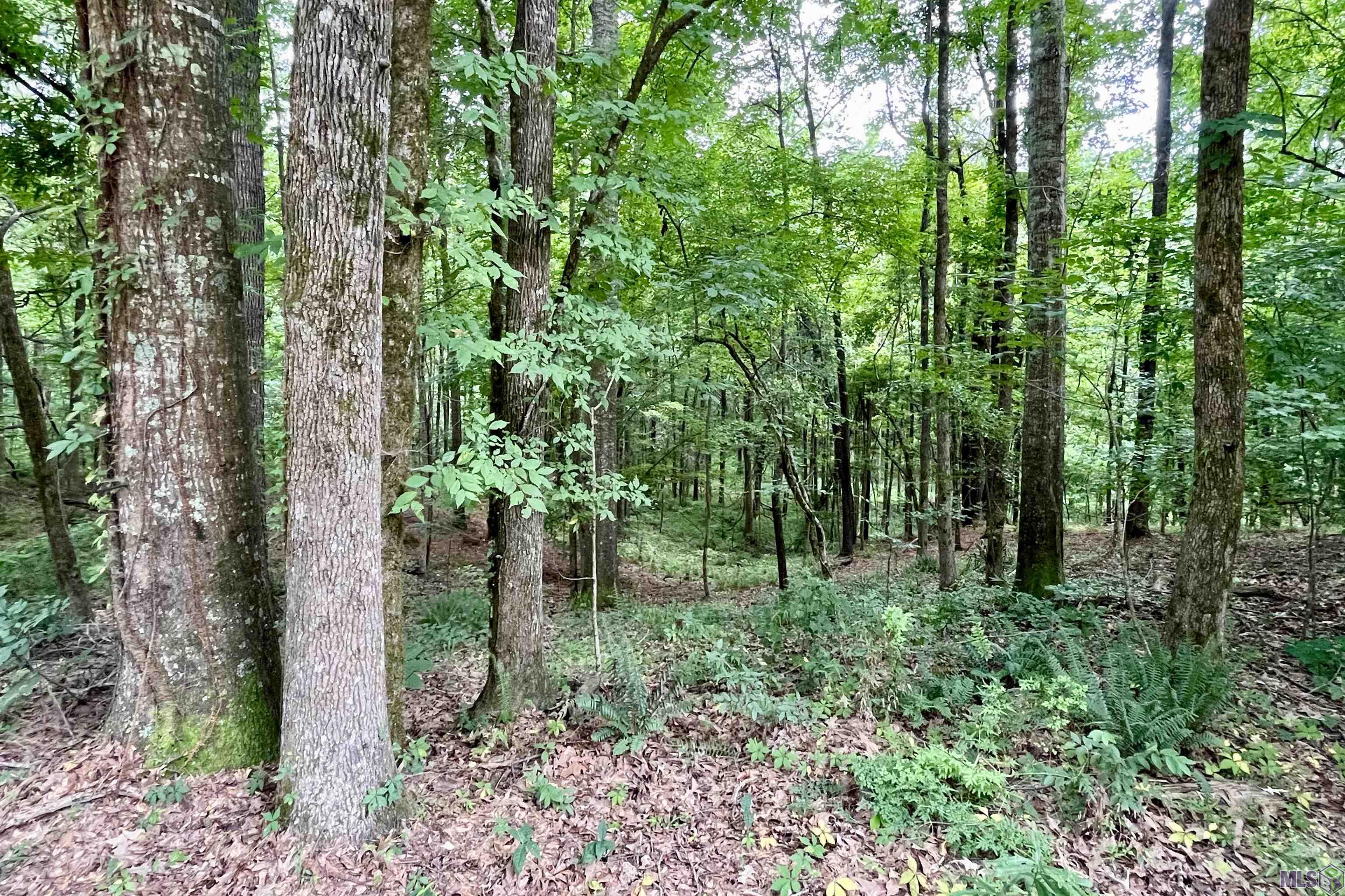 655 Oil Well Road Fayette, MS 39069 - Photo 39 of 58