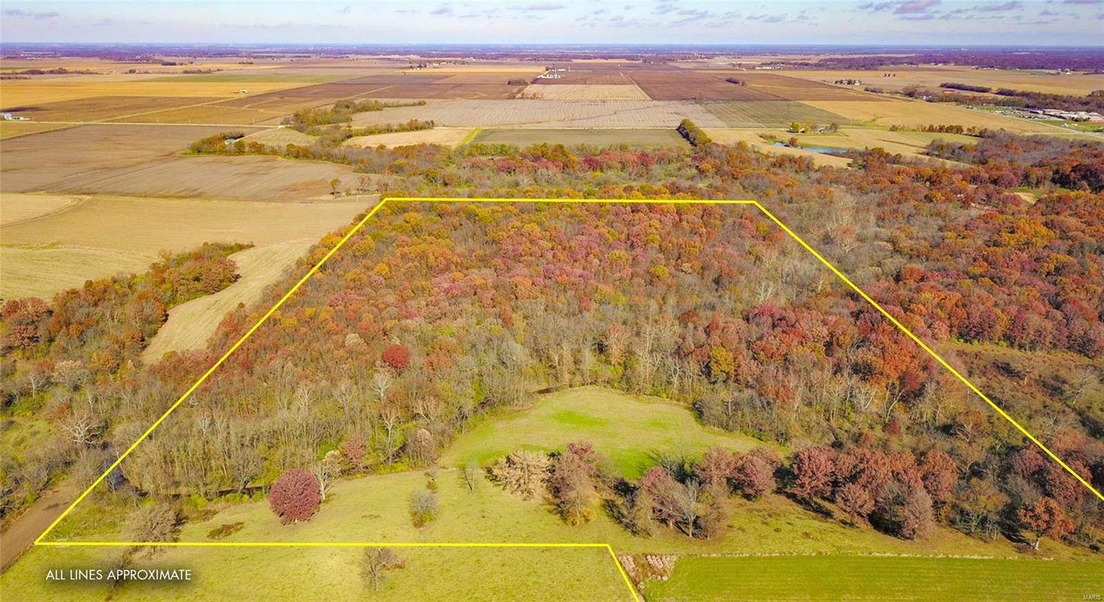 0 Prairie Dell Road Piasa, IL 62079 - Photo 1 of 11
