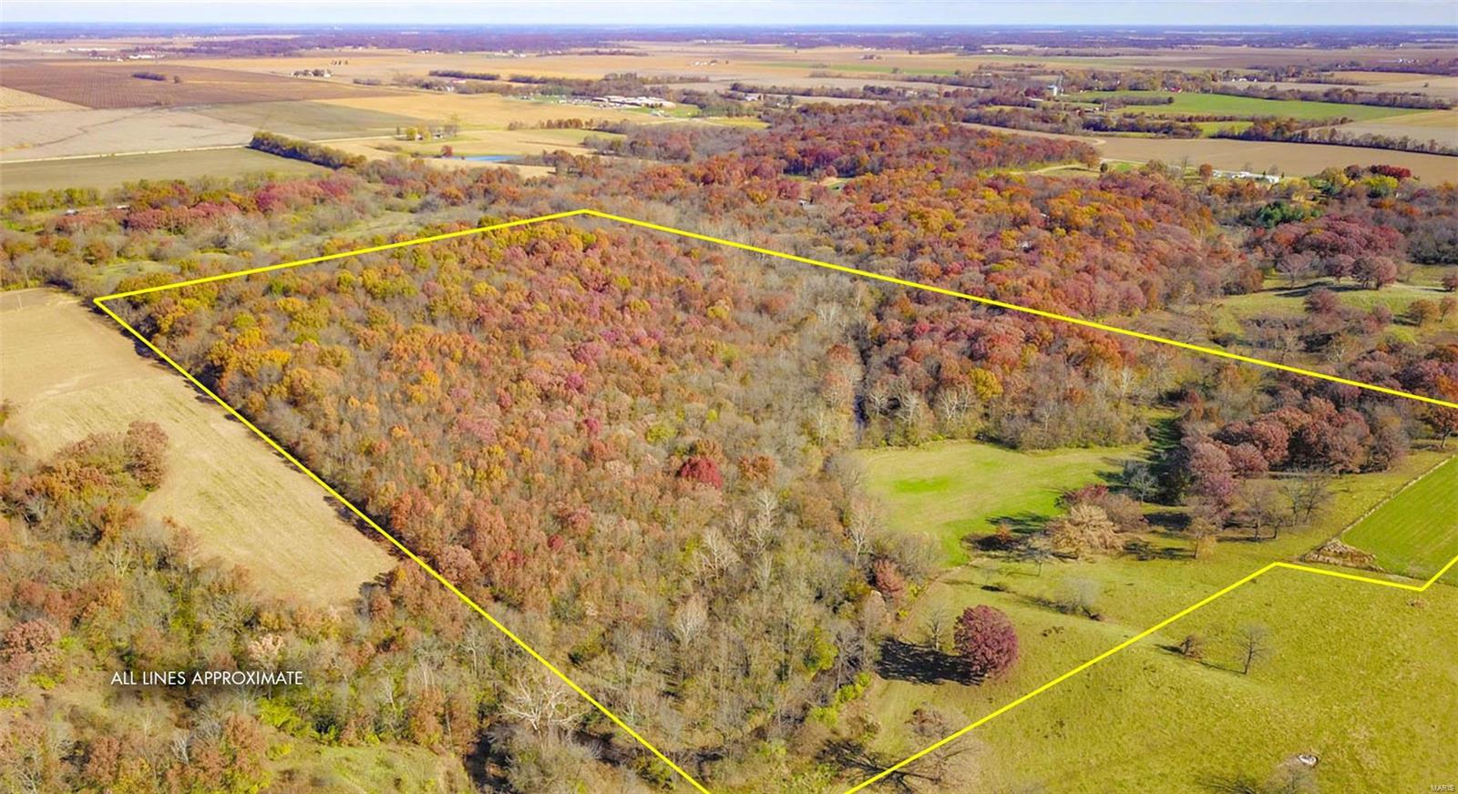 0 Prairie Dell Road Piasa, IL 62079 - Photo 2 of 11