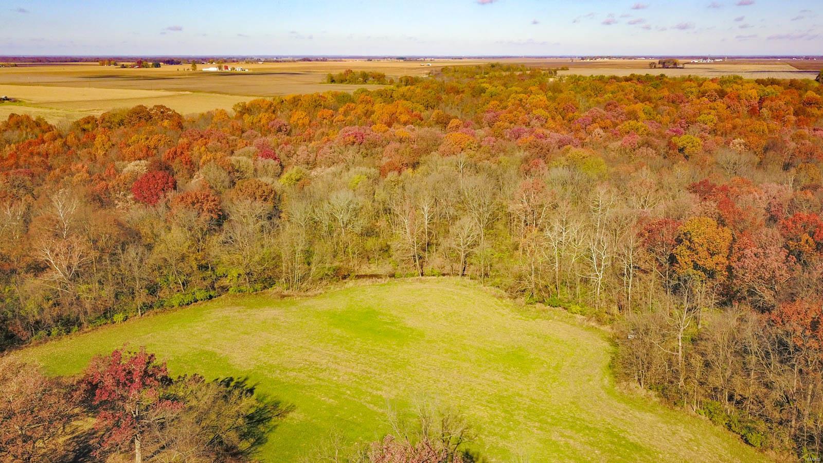 0 Prairie Dell Road Piasa, IL 62079 - Photo 11 of 11