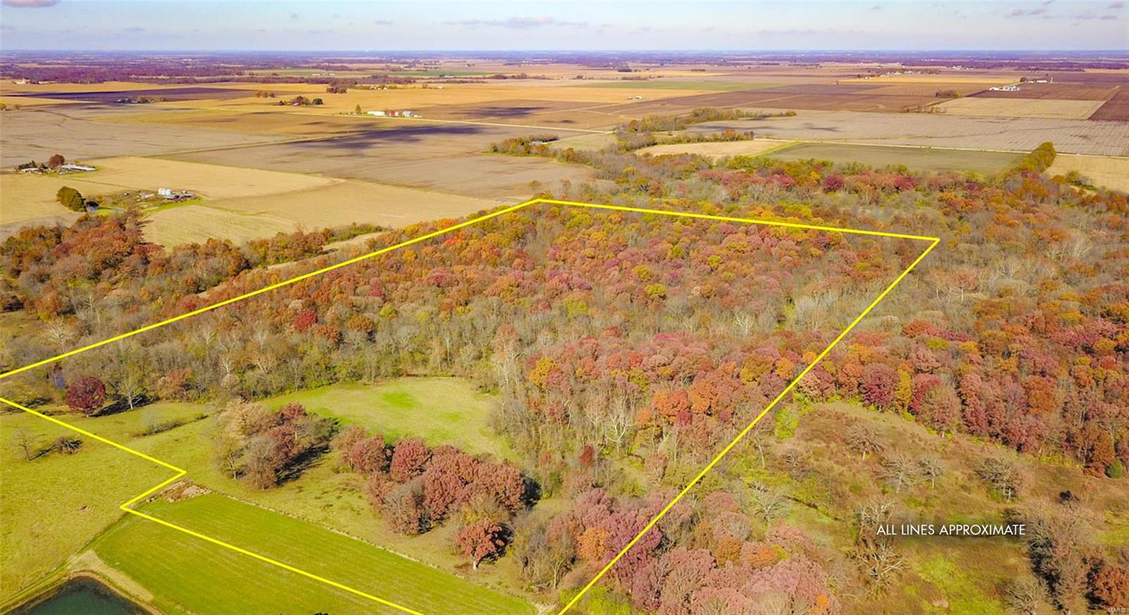 0 Prairie Dell Road Piasa, IL 62079 - Photo 3 of 11