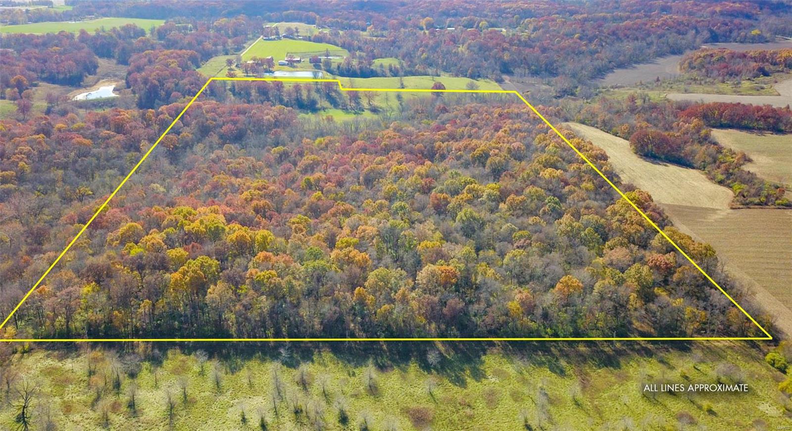 0 Prairie Dell Road Piasa, IL 62079 - Photo 5 of 11