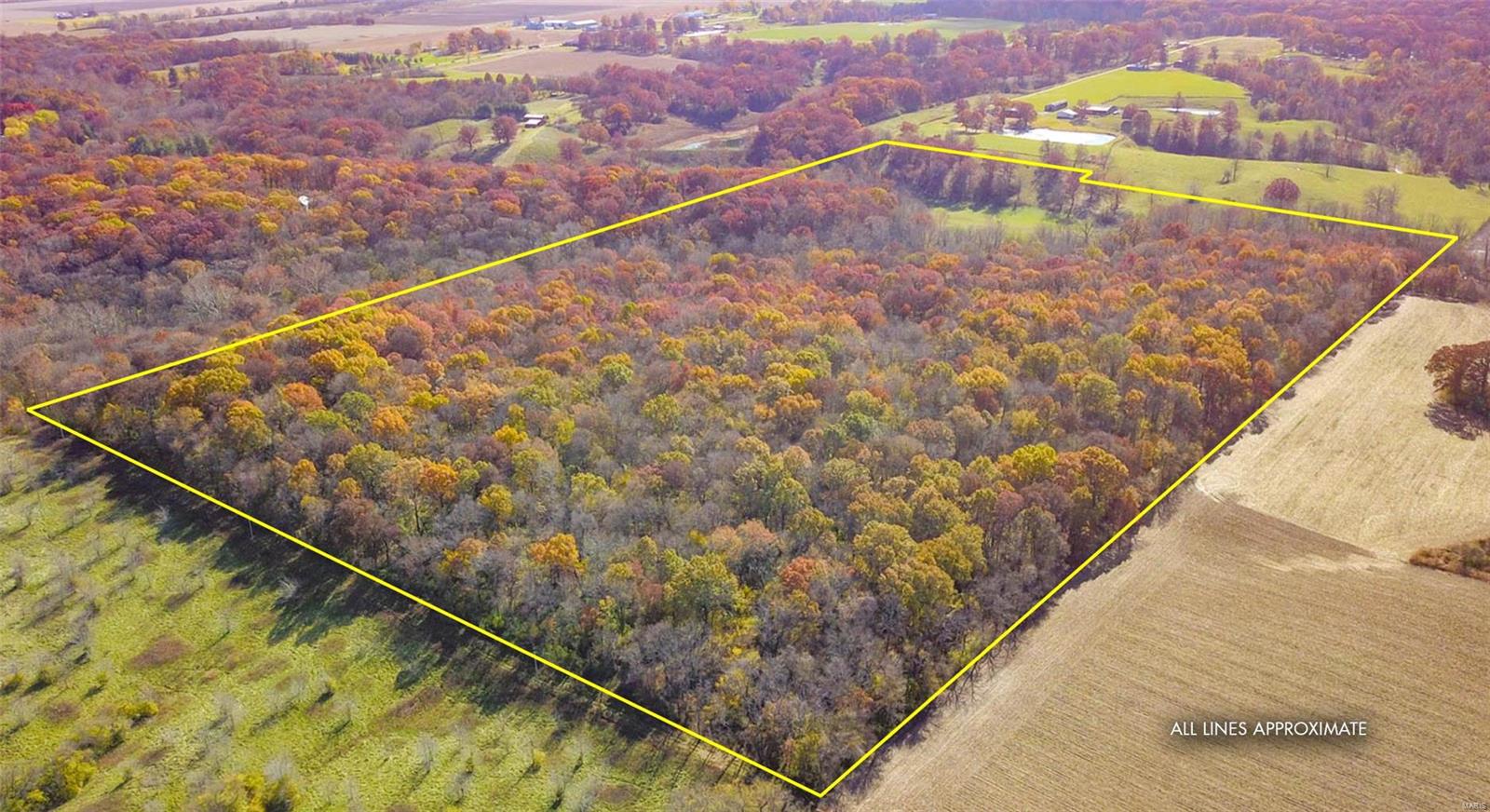 0 Prairie Dell Road Piasa, IL 62079 - Photo 6 of 11