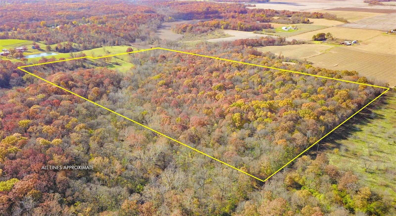 0 Prairie Dell Road Piasa, IL 62079 - Photo 7 of 11