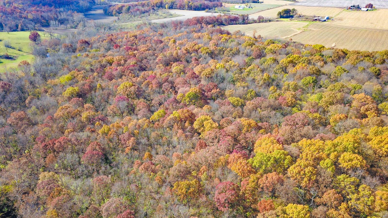 0 Prairie Dell Road Piasa, IL 62079 - Photo 8 of 11