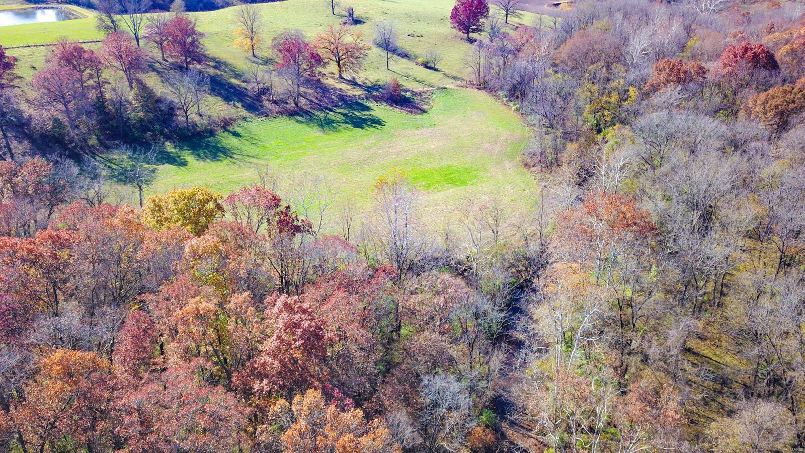 0 Prairie Dell Road Piasa, IL 62079 - Photo 9 of 11