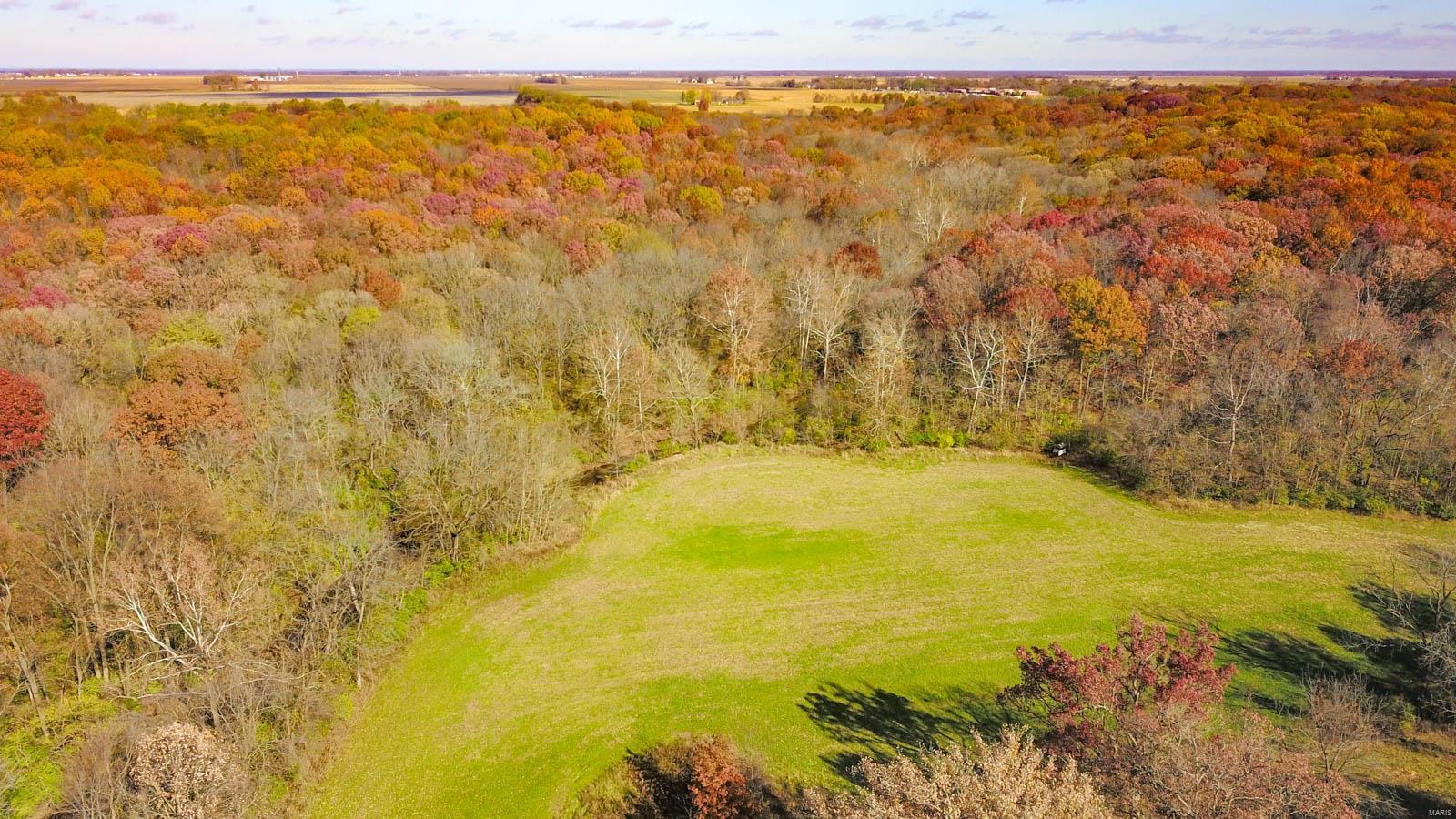 0 Prairie Dell Road Piasa, IL 62079 - Photo 10 of 11