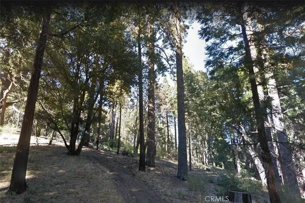 $5,000 | 59 Mojave River Road, Cedarpines Park, CA 92322