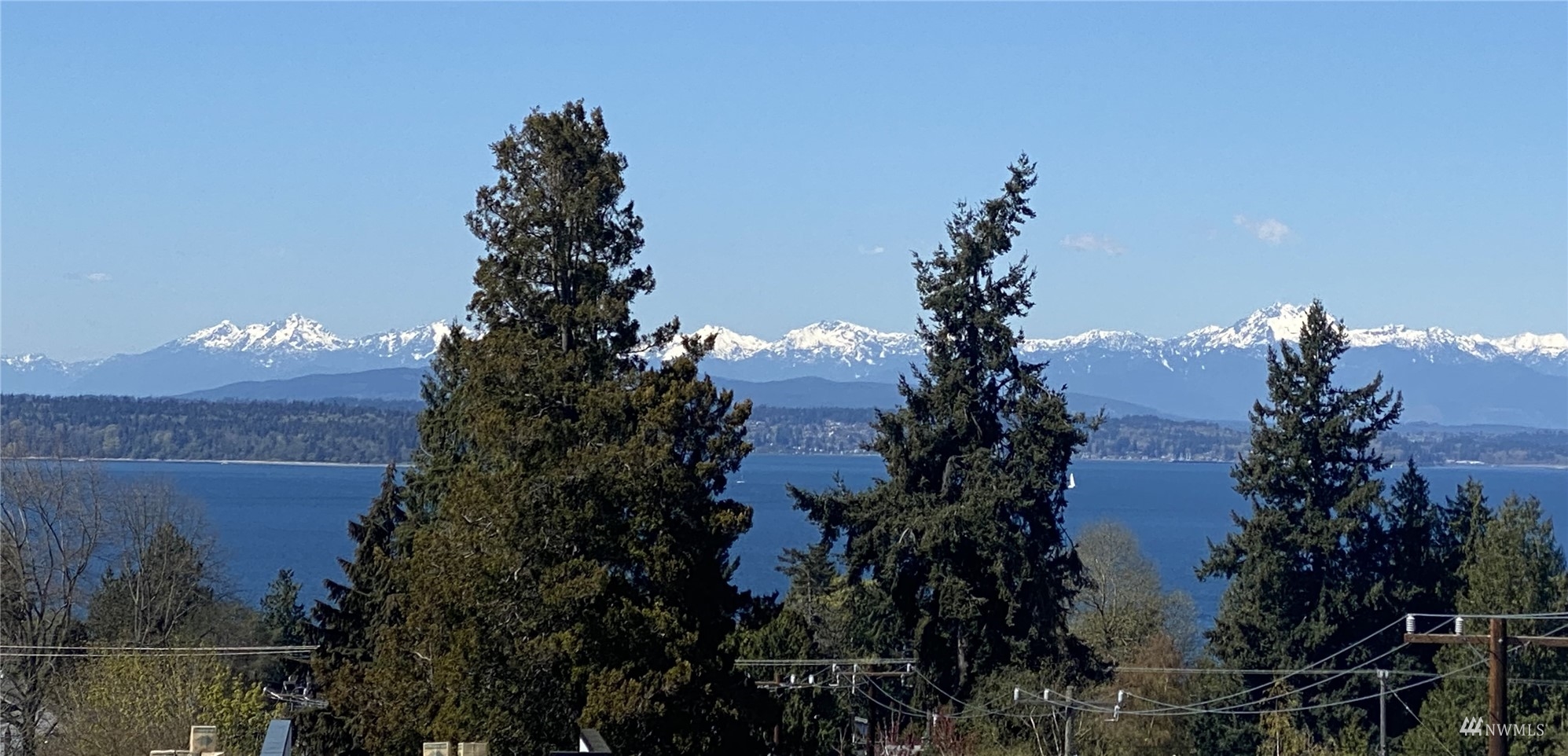 4209 Southwest Frontenac Street Seattle, WA 98136 - Photo 36 of 36