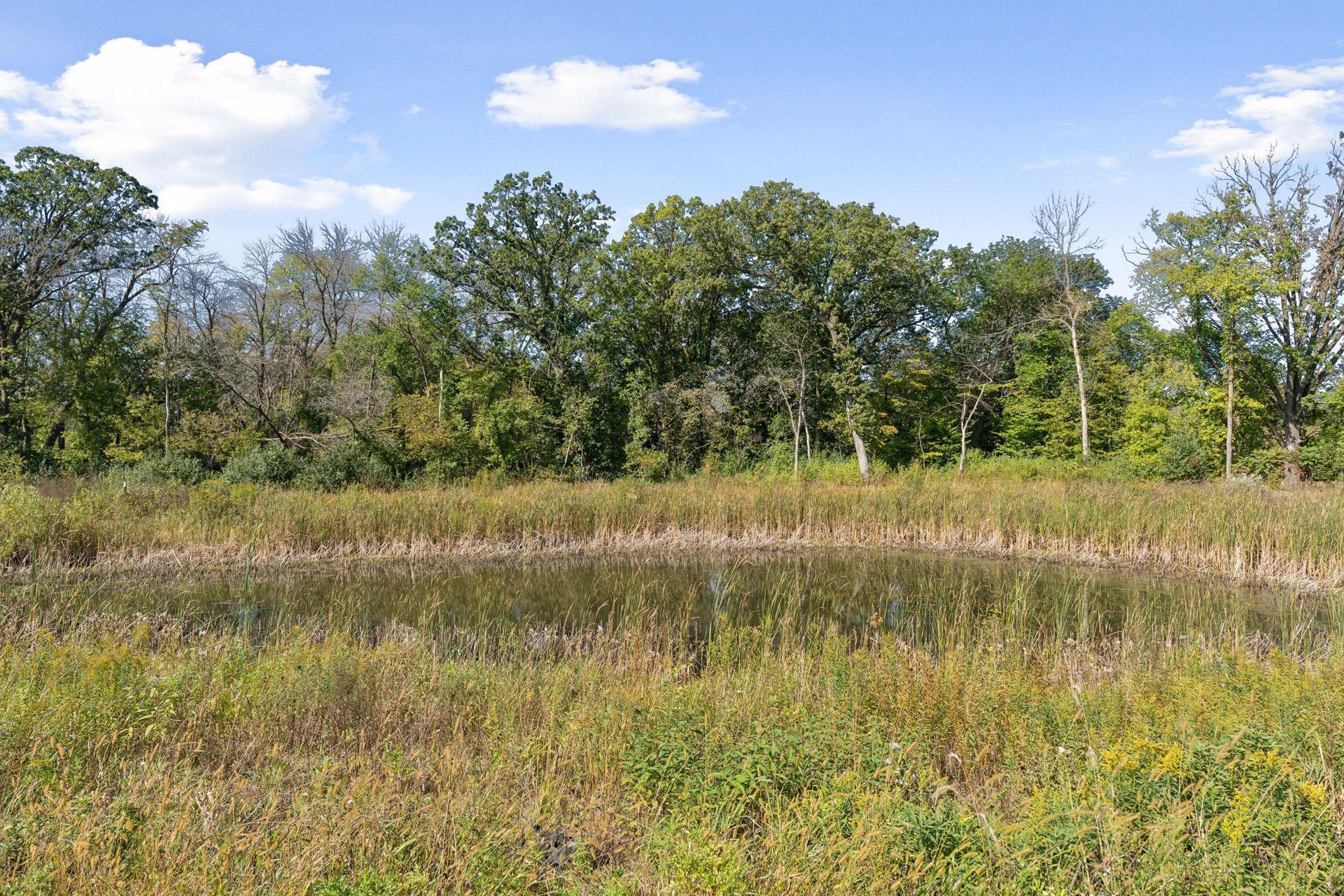 20076 80th Avenue Hamel, MN 55340 - Photo 36 of 42