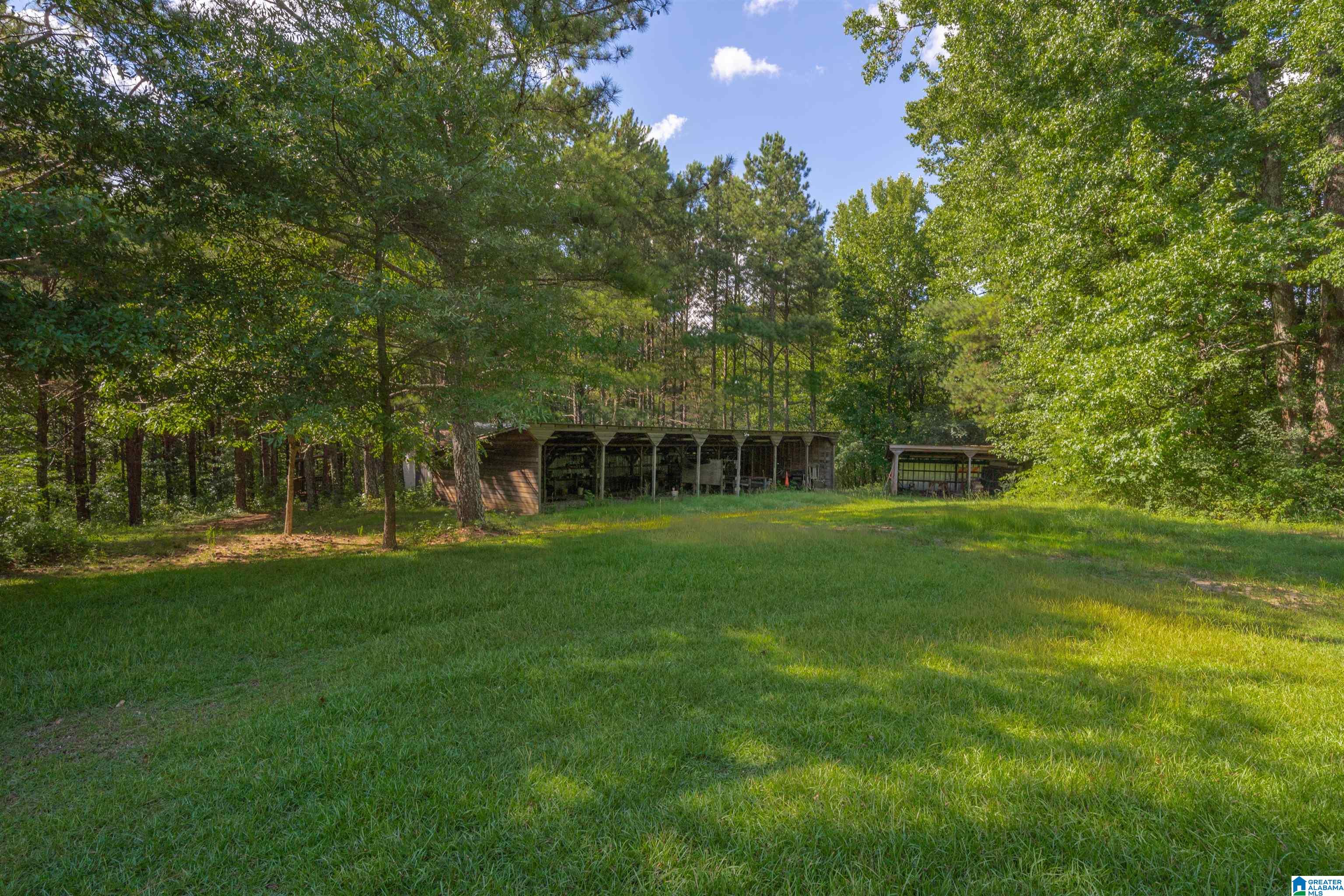 1031 Reneau Road Oneonta, AL 35121 - Photo 33 of 50