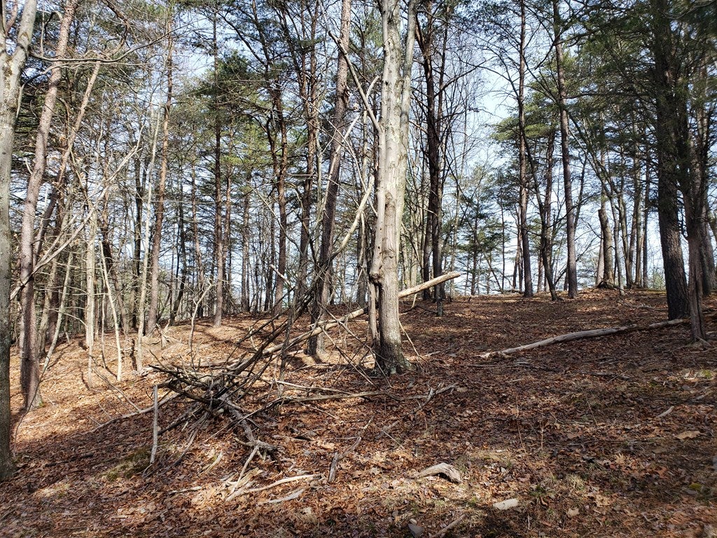 Lot Henderson Henderson Overlook Road Huntingdon, PA 16652 - Photo 8 of 9 Gallery Image 8