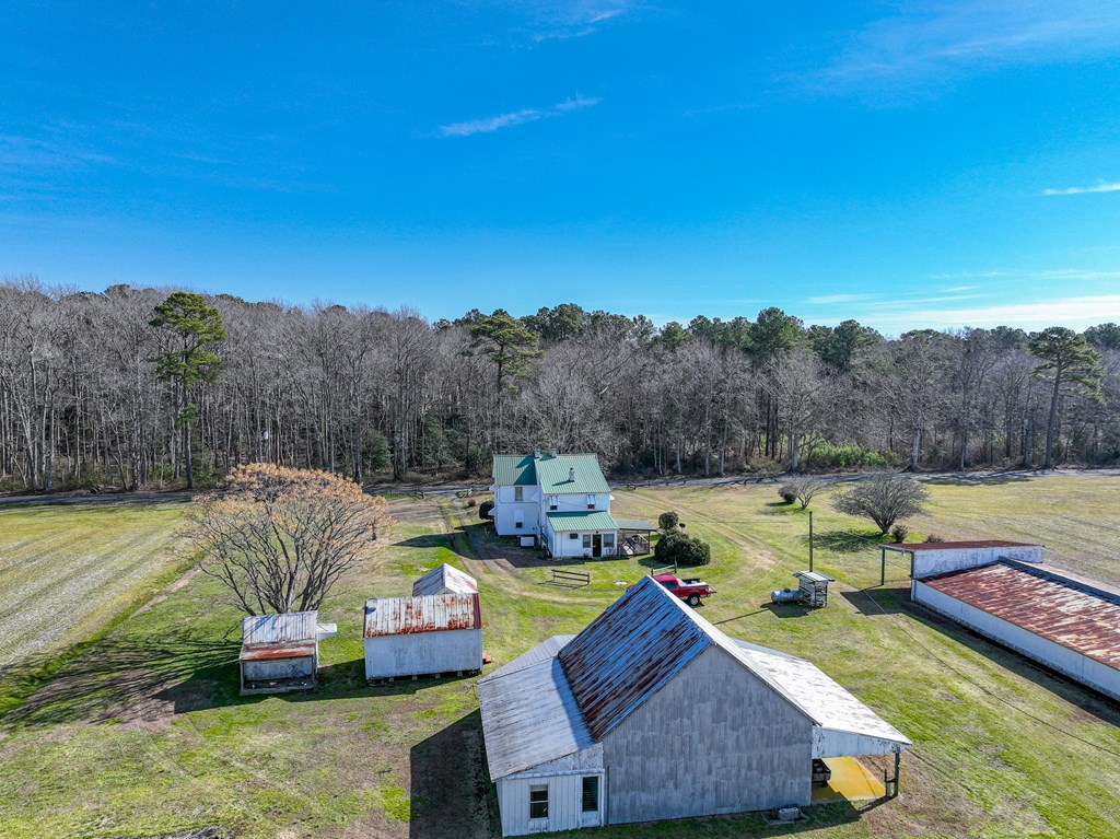 20344 Old County Road Greenbush, VA 23357 - Photo 5 of 32
