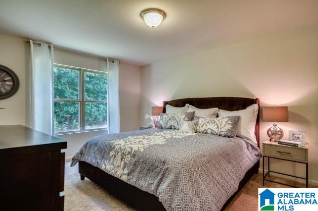 716 Crider Road Alabaster, AL 35114 - Photo 22 of 24 Gallery Image 22