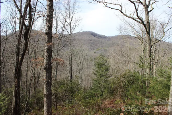 a view of mountain view with lots of trees