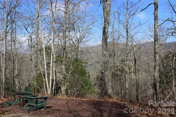 a view of a backyard with large trees