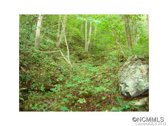 13487 Big Laurel Road Marshall, NC 28753 - Photo 12 of 17 Gallery Image 12
