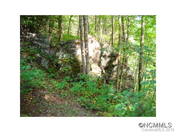 13487 Big Laurel Road Marshall, NC 28753 - Photo 4 of 17 Gallery Image 4