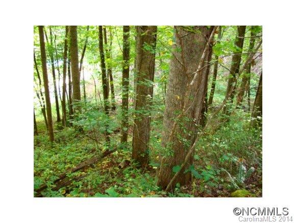 13487 Big Laurel Road Marshall, NC 28753 - Photo 6 of 17 Gallery Image 6