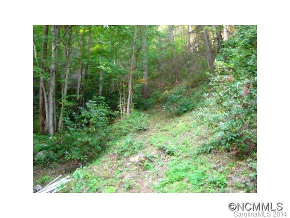 13487 Big Laurel Road Marshall, NC 28753 - Photo 8 of 17 Gallery Image 8