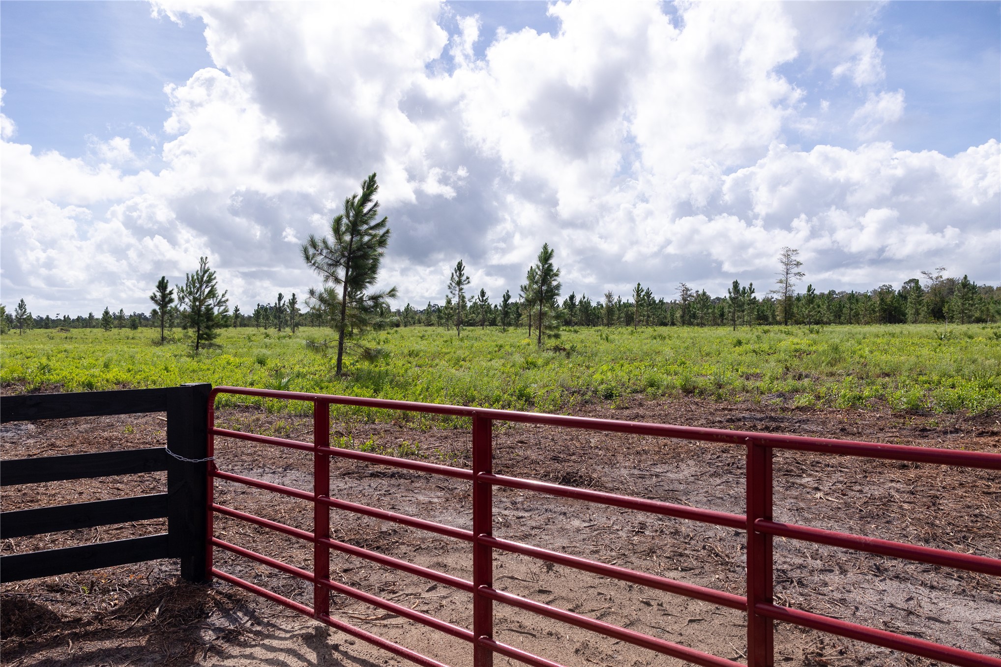 Lot 3 Davis Road Hilliard, FL 32046 - Photo 5 of 22 Gallery Image 5