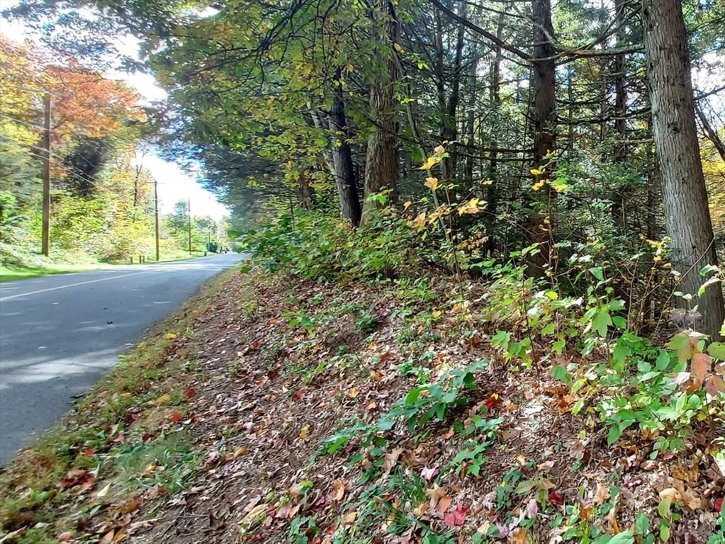 Lot 3 Harknesss Road Amherst, MA 01002 - Photo 4 of 7