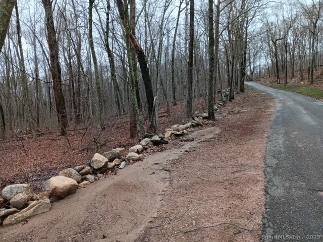 a view of a forest with trees in the background